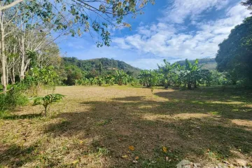 Land for sale in Pa Khlok, Phuket