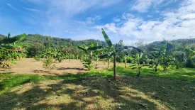 Land for sale in Pa Khlok, Phuket