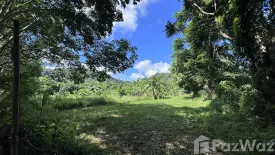 Land for sale in Pa Khlok, Phuket