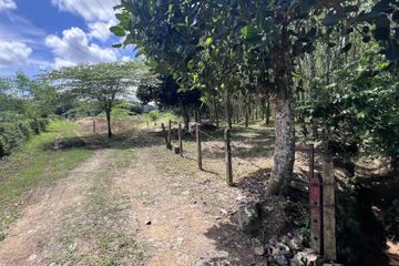 Land for sale in Si Sunthon, Phuket