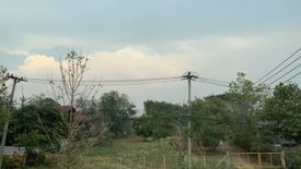 Land for sale in Nong Khwai, Chiang Mai