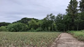 Land for sale in Thap Tai, Prachuap Khiri Khan