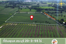 Land for sale in Phu Khae, Saraburi