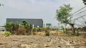 Land for sale in Makluea Kao, Nakhon Ratchasima