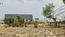 Land for sale in Makluea Kao, Nakhon Ratchasima