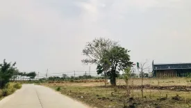 Land for sale in Makluea Kao, Nakhon Ratchasima