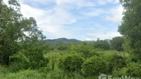 Land for sale in Thep Krasatti, Phuket