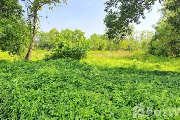 Land for sale in Thep Krasatti, Phuket