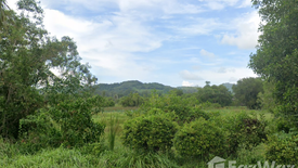 Land for sale in Thep Krasatti, Phuket