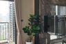 1 Bedroom Condo for rent in The Crest Sukhumvit 34, Khlong Tan, Bangkok near BTS Thong Lo