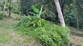 Land for sale in Patong, Phuket