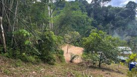 Land for sale in Patong, Phuket