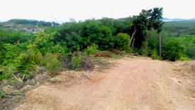 Land for sale in Pa Khlok, Phuket