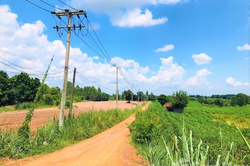 Land for sale in Muang Wan, Khon Kaen