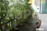 1 Bedroom Condo for Sale or Rent in Nong Prue, Chonburi