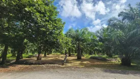 Land for sale in Thep Krasatti, Phuket