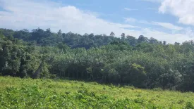 Land for sale in Thep Krasatti, Phuket