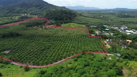 Land for sale in Thep Krasatti, Phuket