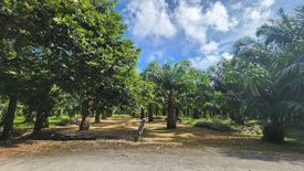 Land for sale in Thep Krasatti, Phuket