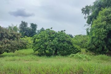 Land for sale in Makhun Wan, Chiang Mai