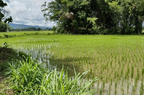 Land for sale in Khilek, Chiang Mai