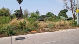 Land for sale in Nong Mai Daeng, Chonburi