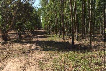 Land for sale in Kaeng Din So, Prachin Buri