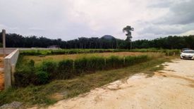 Land for sale in Nong Thale, Krabi