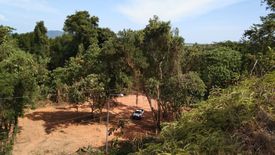 Land for sale in Thep Krasatti, Phuket