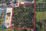 Land for sale in San Klang, Chiang Mai