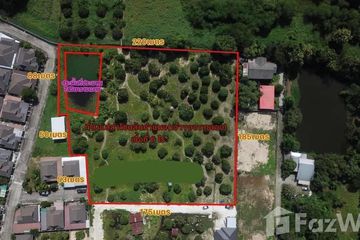 Land for sale in San Klang, Chiang Mai