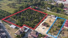 Land for sale in San Klang, Chiang Mai