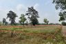 Land for sale in Prue, Surin