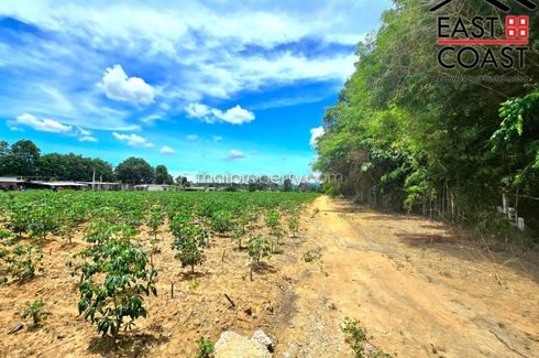 Land for sale in Pong, Chonburi