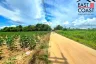 Land for sale in Pong, Chonburi