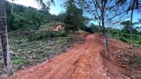 Land for sale in Sakhu, Phuket