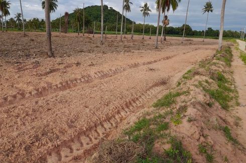 Land for sale in Nong Prue, Chonburi