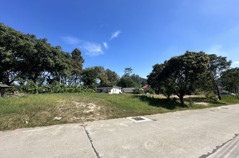 Land for sale in Nong Prue, Chonburi