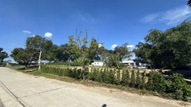 Land for sale in Nong Prue, Chonburi