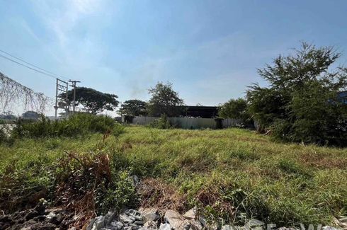 Land for sale in Thanu, Phra Nakhon Si Ayutthaya