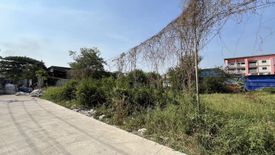 Land for sale in Thanu, Phra Nakhon Si Ayutthaya