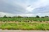 Land for sale in Map Yang Phon, Rayong