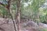 Land for sale in Santikhiri Estate, Na Mueang, Surat Thani