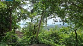 Land for sale in Na Mueang, Surat Thani