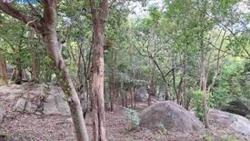 Land for sale in Na Mueang, Surat Thani