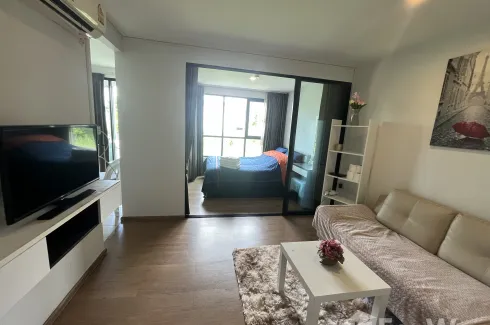 1 Bedroom Condo for rent in Centrio Condominium, Wichit, Phuket