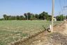 Land for sale in Wang Sala, Kanchanaburi