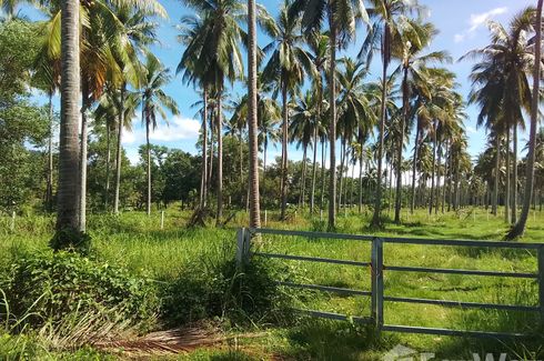 Land for sale in Pa Khlok, Phuket