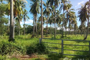 Land for sale in Pa Khlok, Phuket