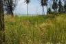 Land for sale in Ko Mak, Trat